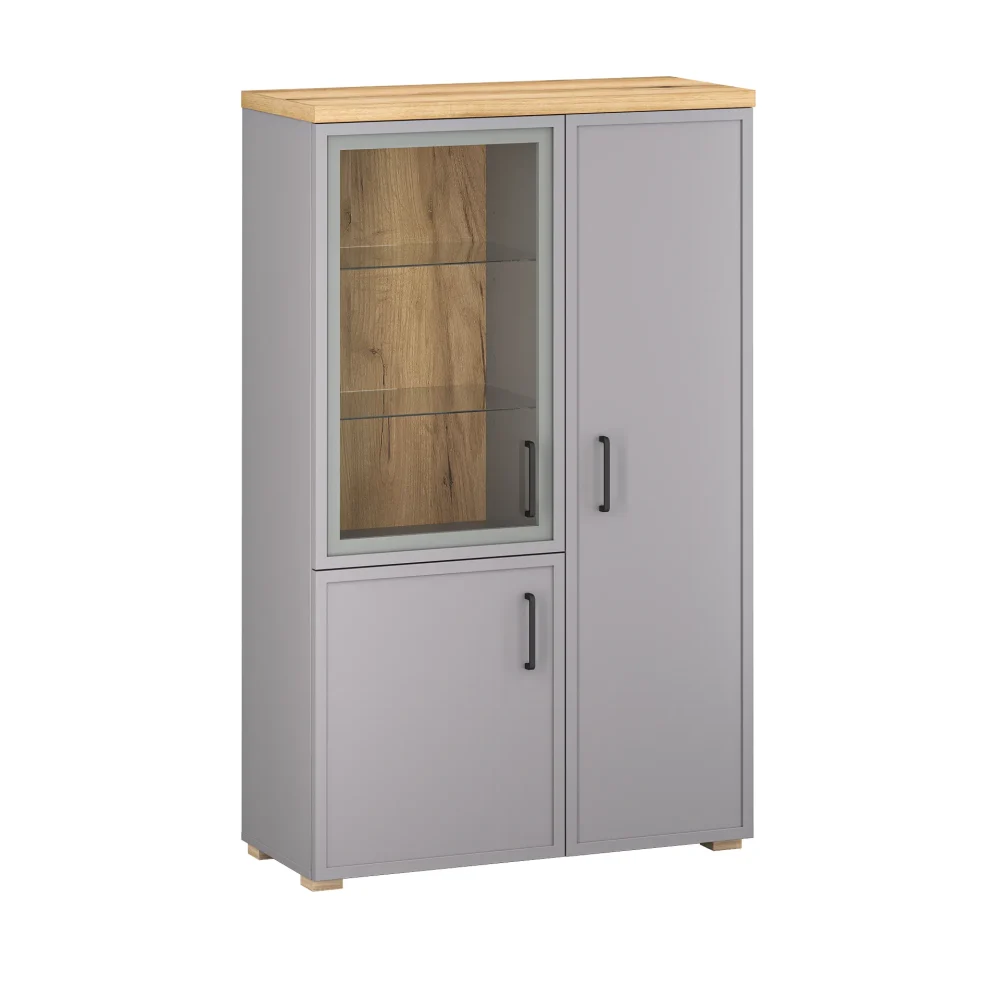 Witryna niska z drzwiami Heming M2